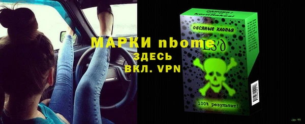 молекула духа Козельск