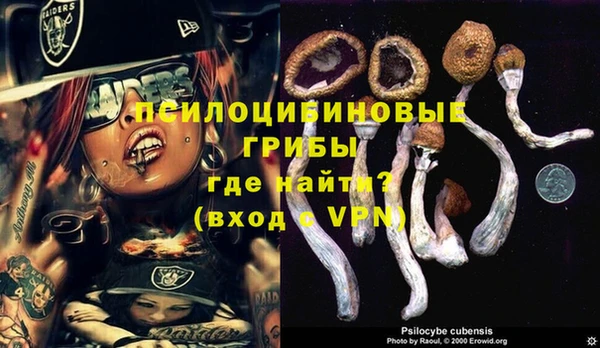 молекула духа Козельск