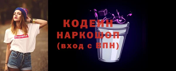 молекула духа Козельск