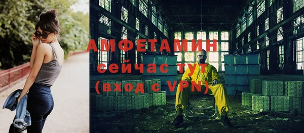 молекула духа Козельск
