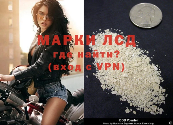 молекула духа Козельск