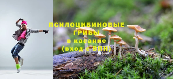молекула духа Козельск
