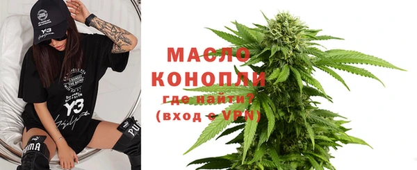 молекула духа Козельск