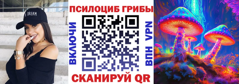 Галлюциногенные грибы Psilocybe  Купить закладки  Староминская 